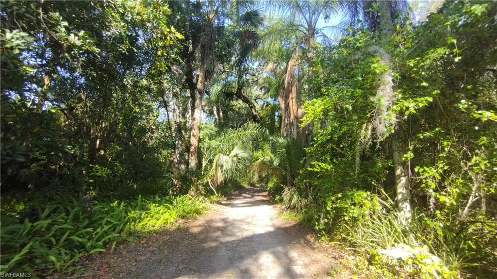 1469 Coffee Mill Hammock RD-2