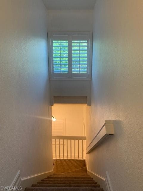 300 Diamond CIR 302-6