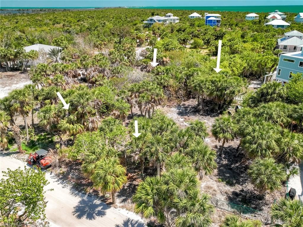 4430 Conch Shell DR-23