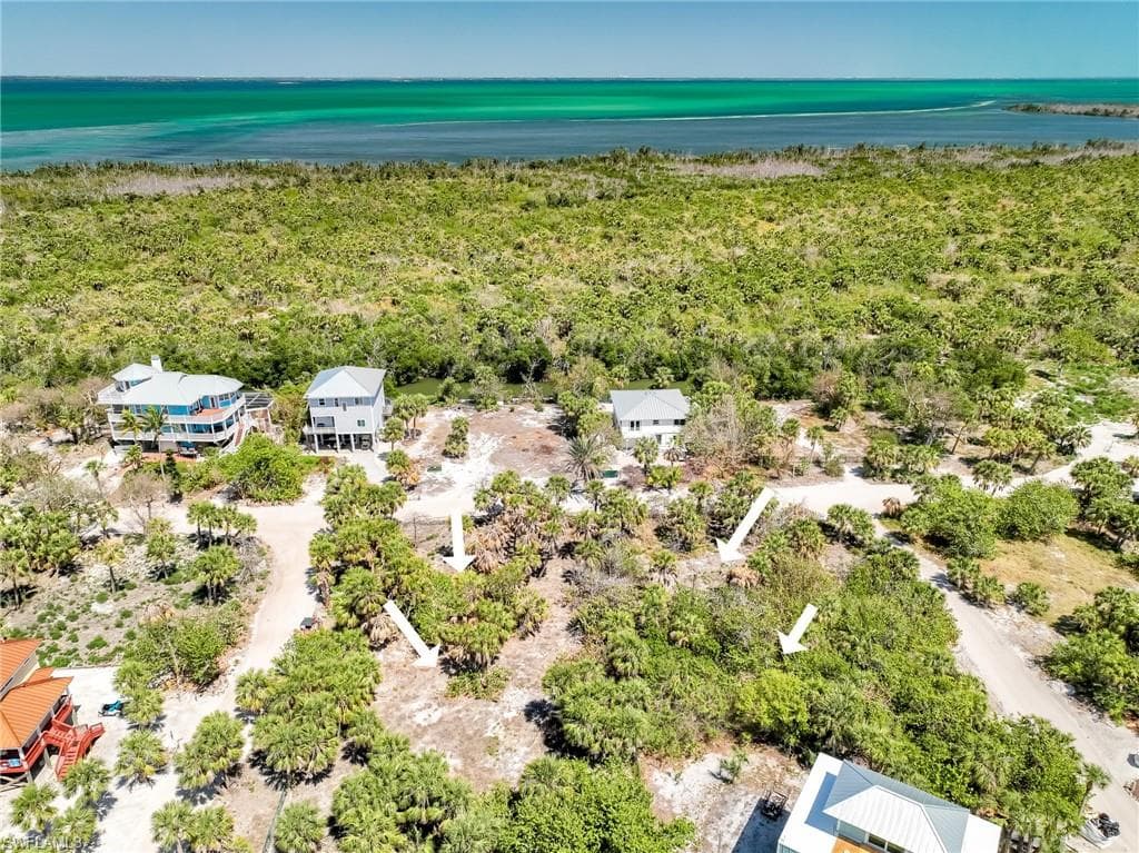 4430 Conch Shell DR-27