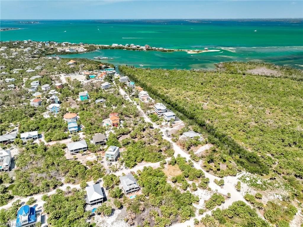 4430 Conch Shell DR-6