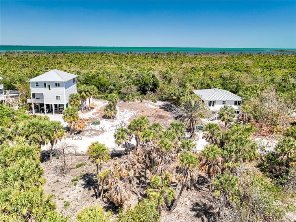 4430 Conch Shell DR-26