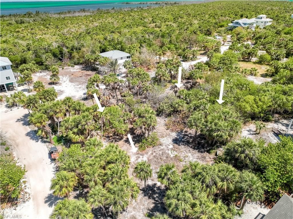 4430 Conch Shell DR-22