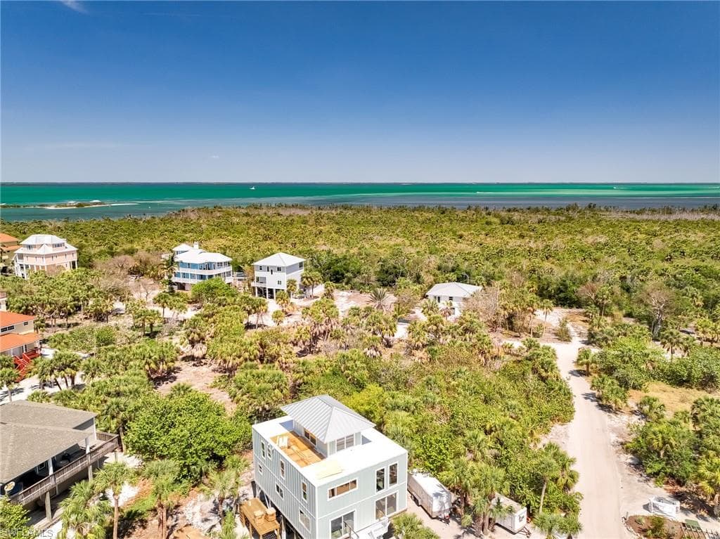 4430 Conch Shell DR-7