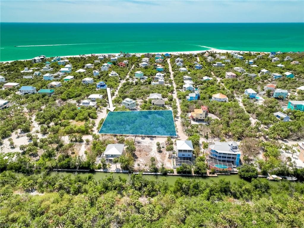 4430 Conch Shell DR-3
