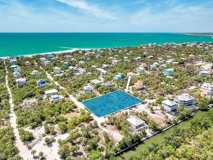 4430 Conch Shell DR-32