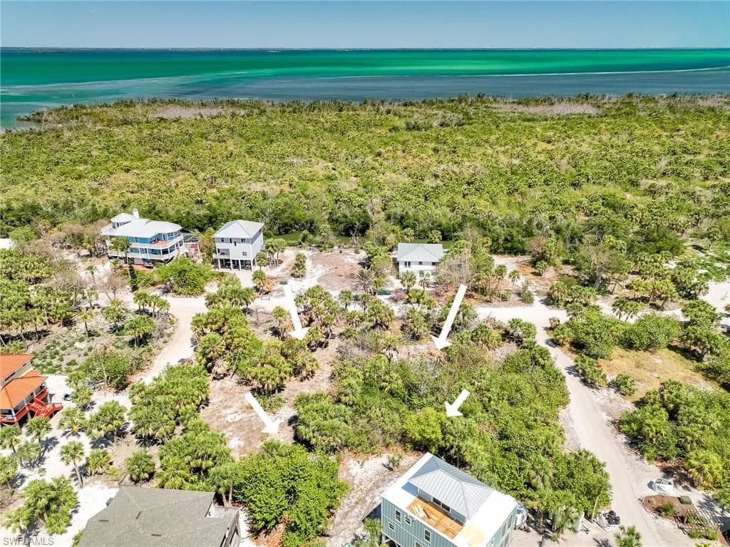 4430 Conch Shell DR-1