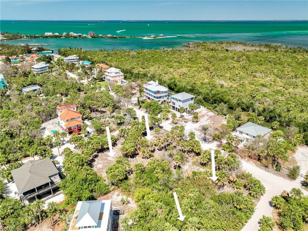 4430 Conch Shell DR-28