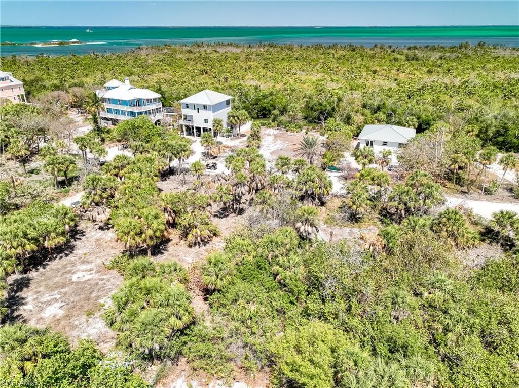 4430 Conch Shell DR-20