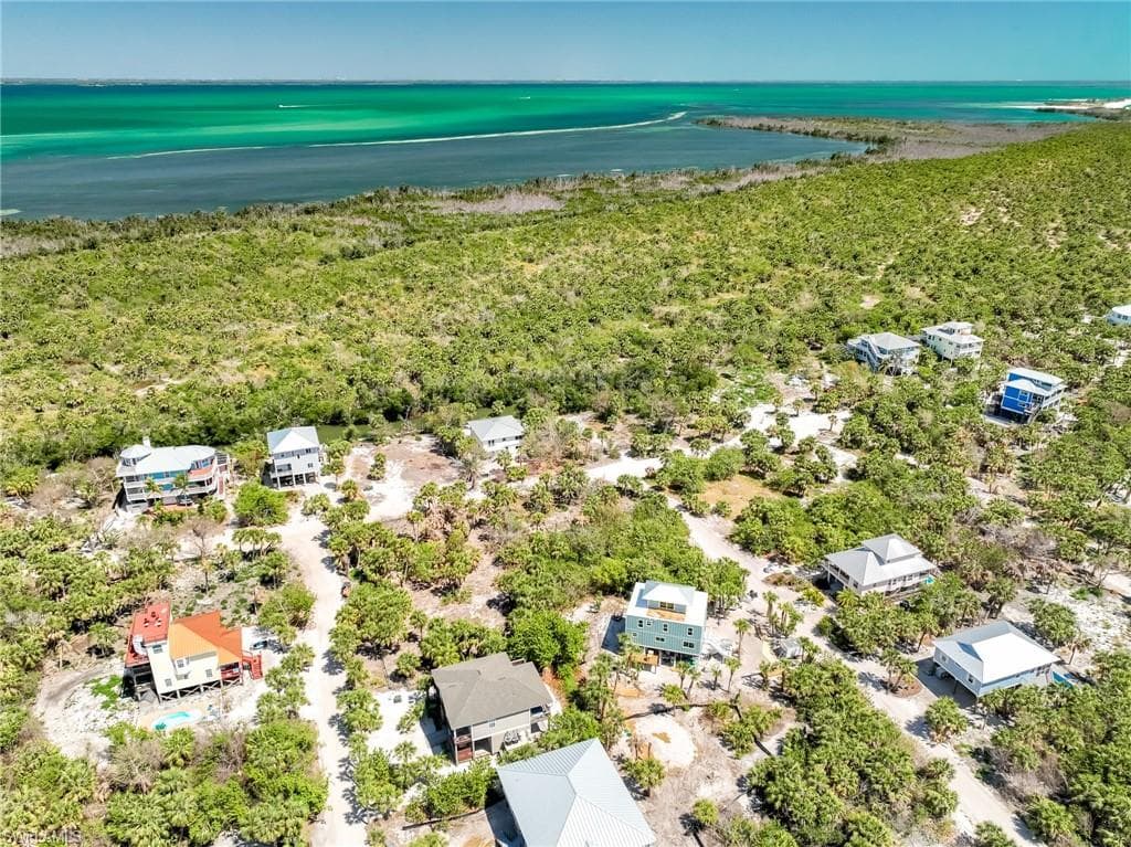 4430 Conch Shell DR-9