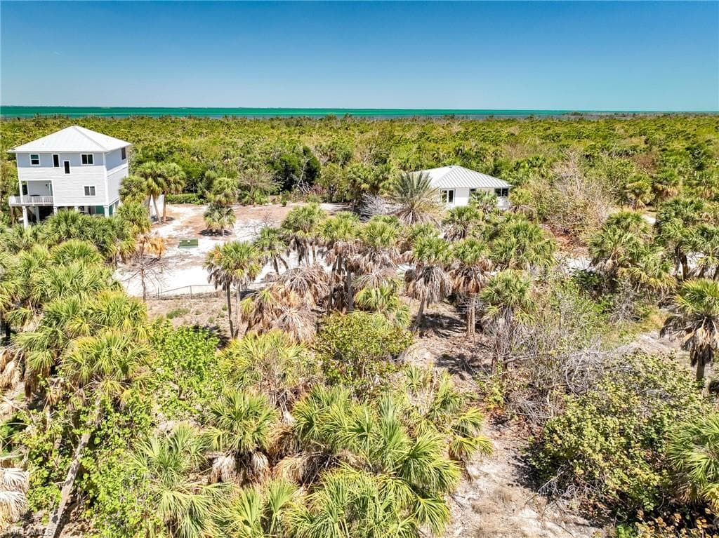 4430 Conch Shell DR-24