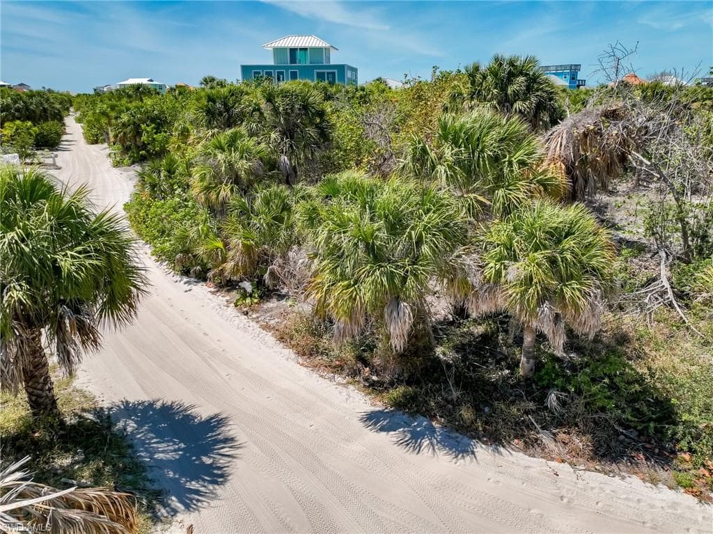 4430 Conch Shell DR-30