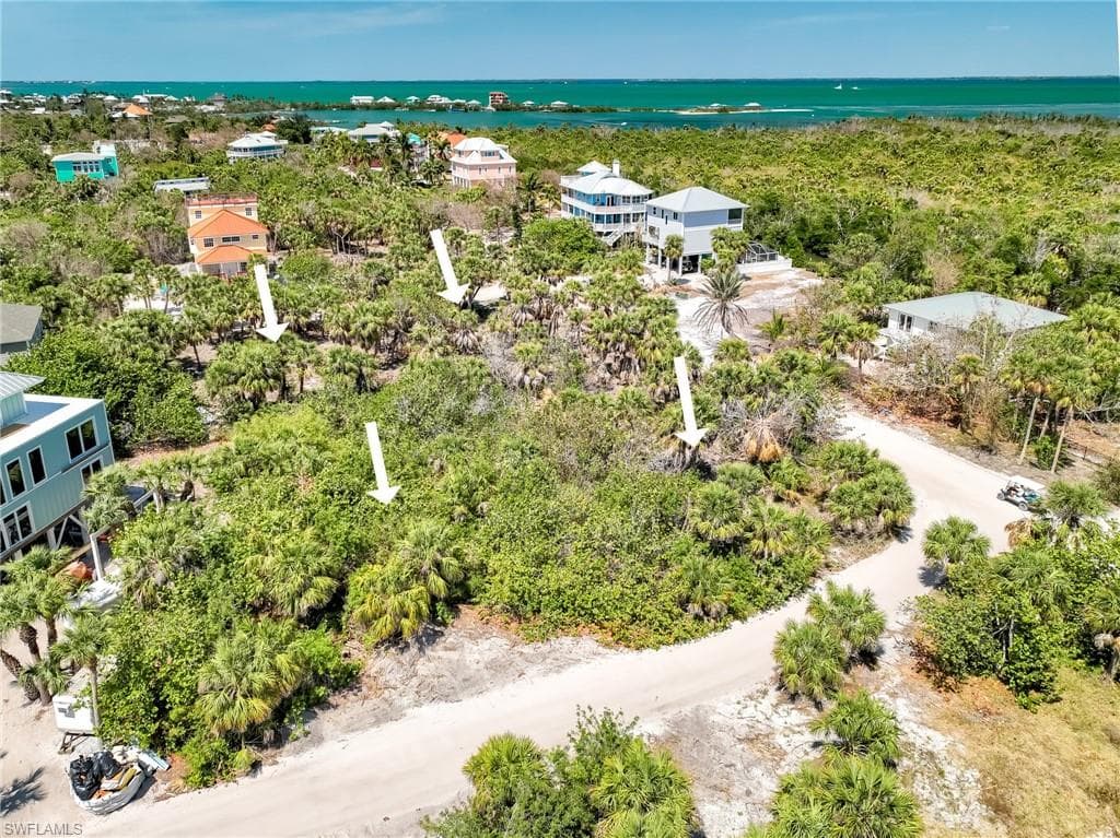 4430 Conch Shell DR-18