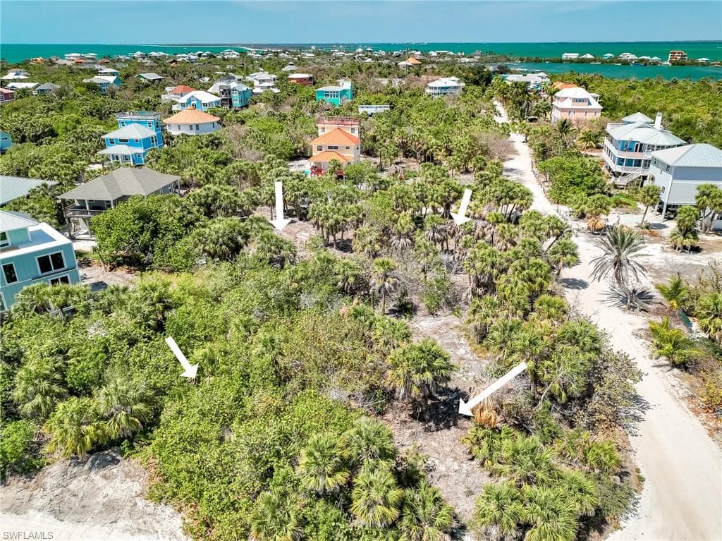 4430 Conch Shell DR-19