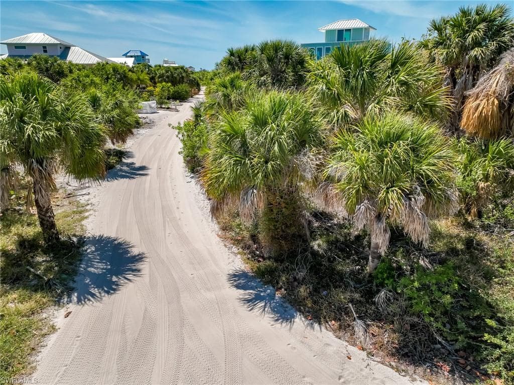 4430 Conch Shell DR-31