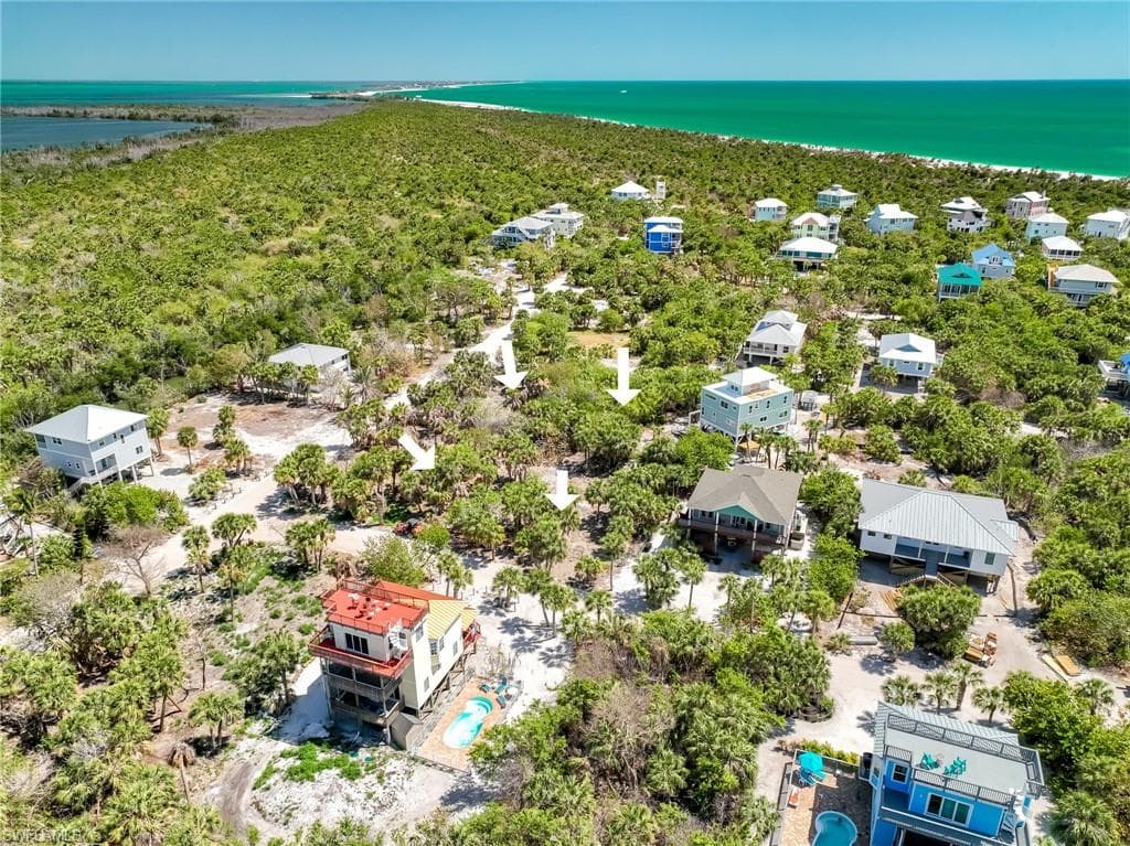 4430 Conch Shell DR-29