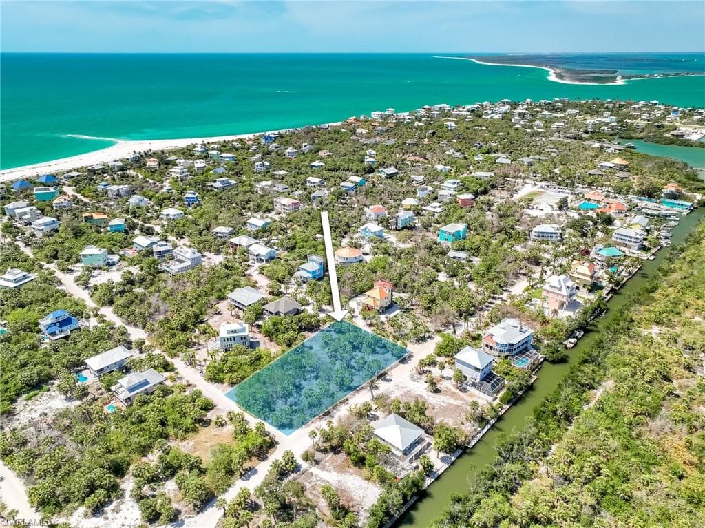4430 Conch Shell DR-4