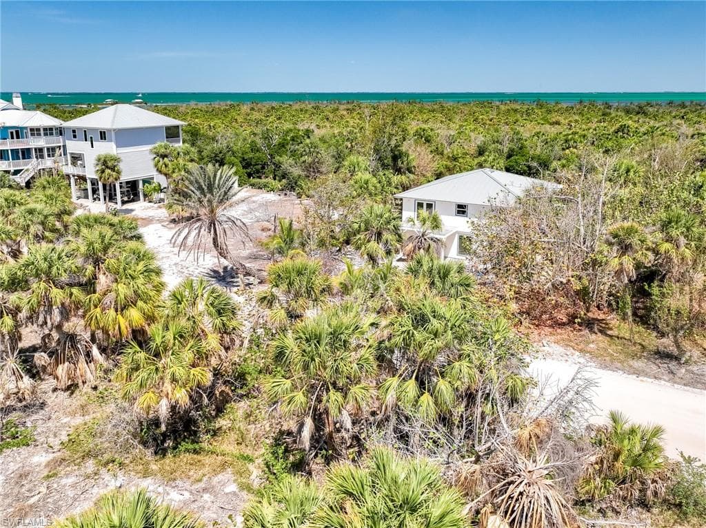 4430 Conch Shell DR-25