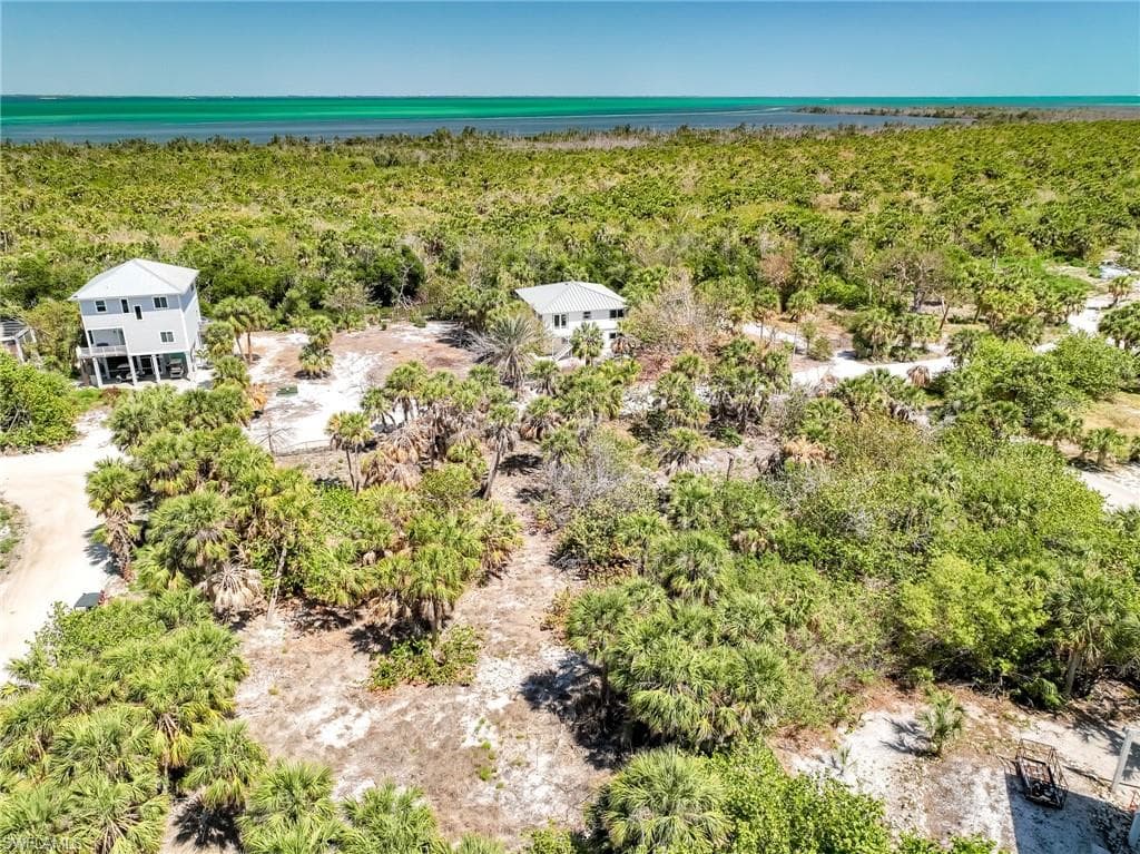 4430 Conch Shell DR-21