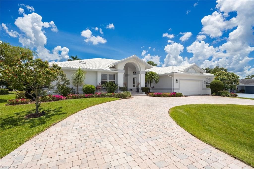16564 Bear Cub CT-1