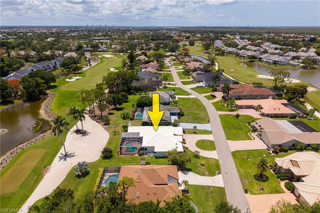 16564 Bear Cub CT-45