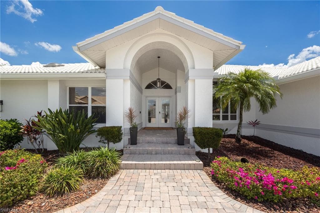 16564 Bear Cub CT-2
