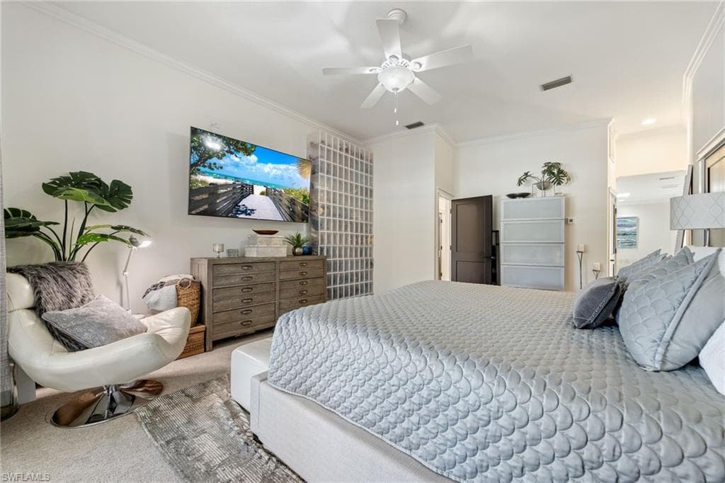 16564 Bear Cub CT-23