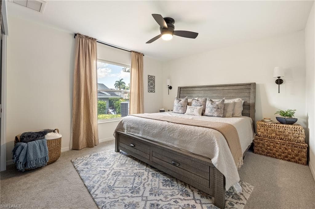 16564 Bear Cub CT-29