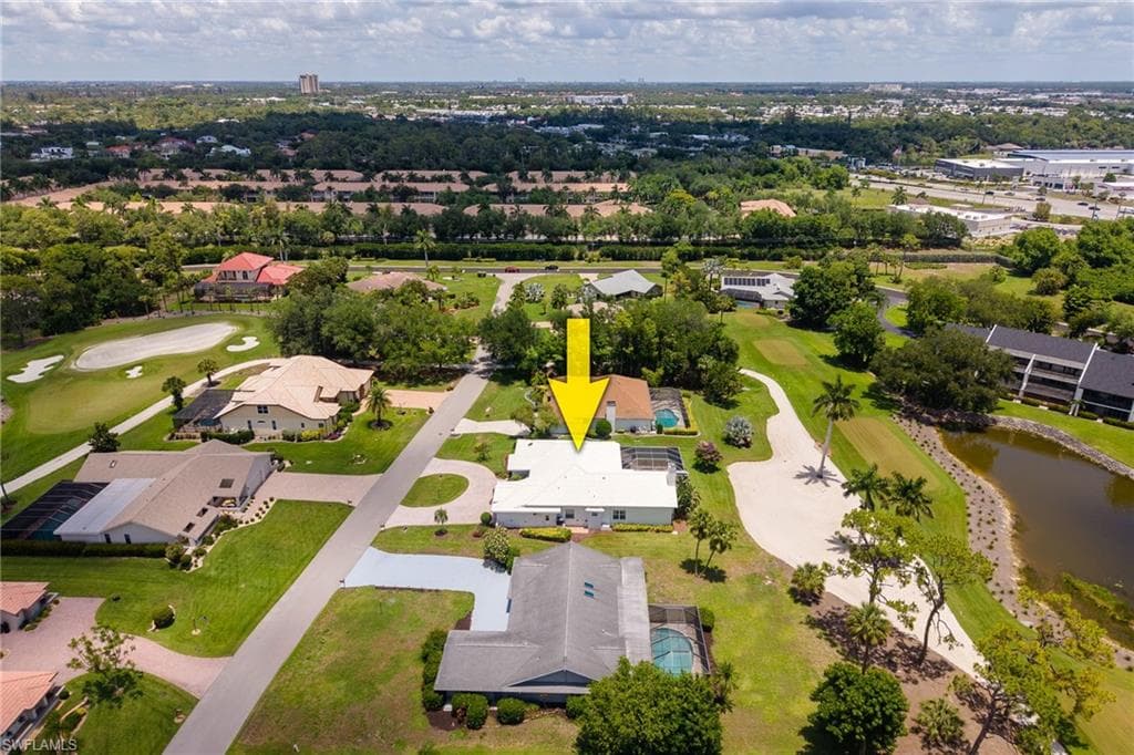 16564 Bear Cub CT-43
