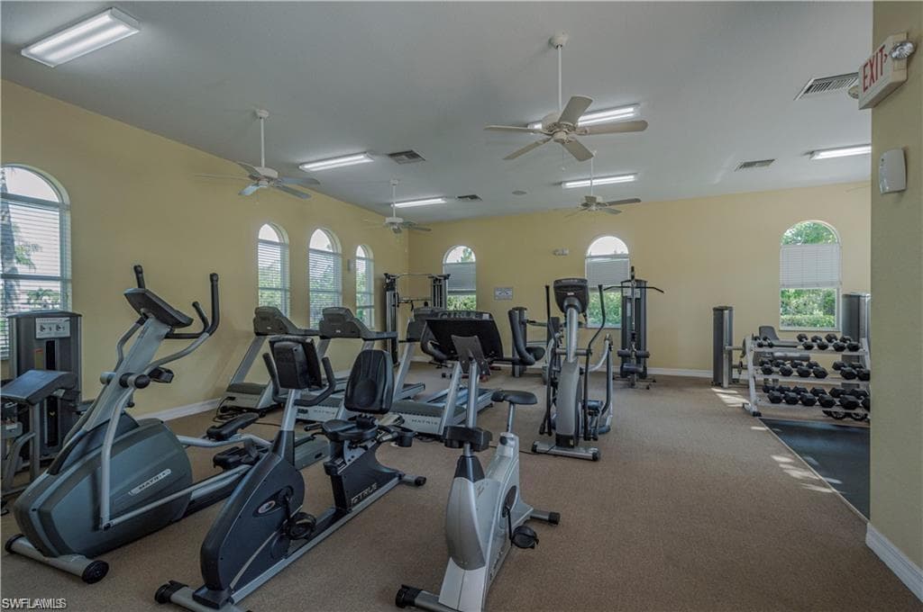 3573 Malagrotta CIR-41