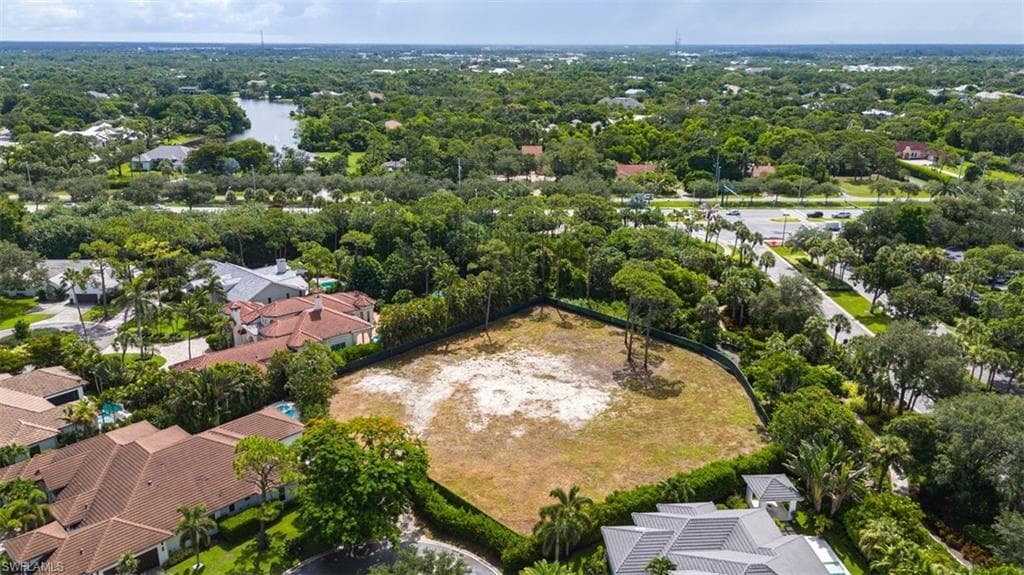 808 Whimbrel CT-4