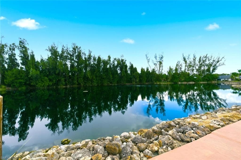 16001 Amberwood Lake CT 1-21