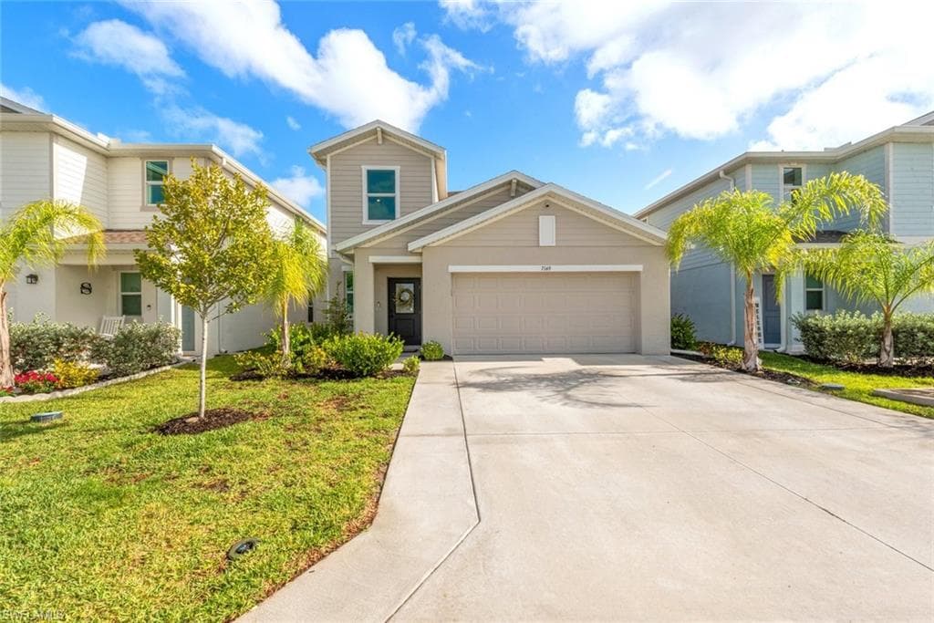 7149 Ponderosa Pine DR-2