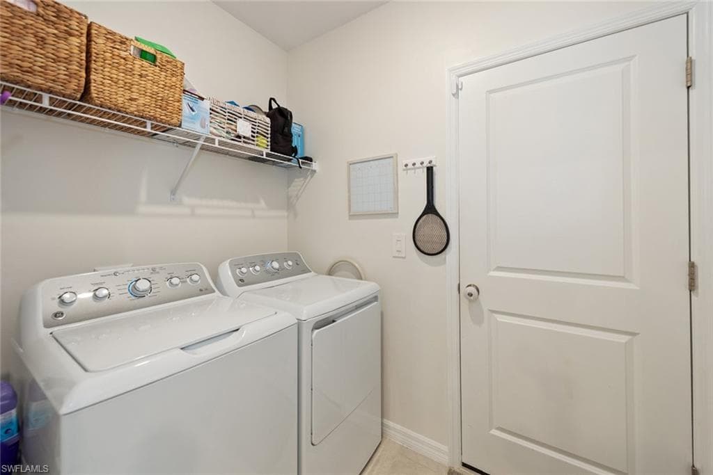 7149 Ponderosa Pine DR-31