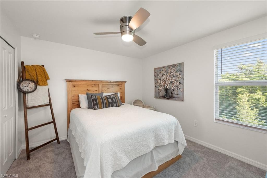 7149 Ponderosa Pine DR-19