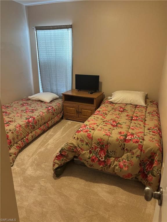 8031 Liriope LOOP-21