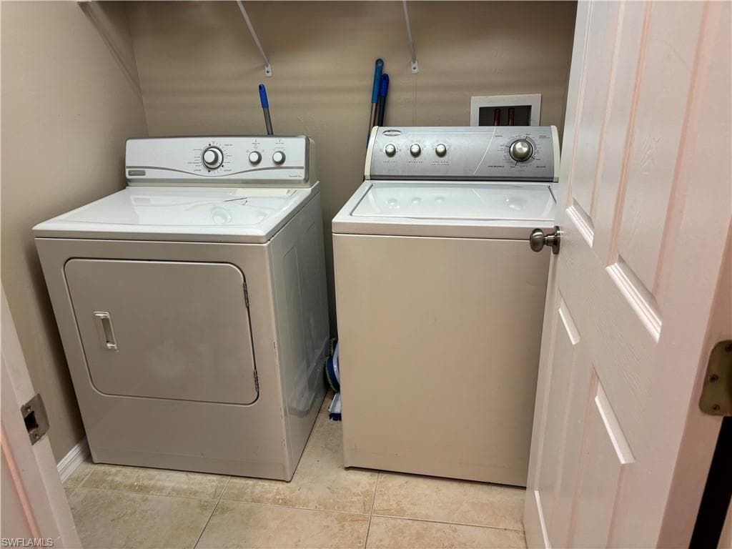 8031 Liriope LOOP-23