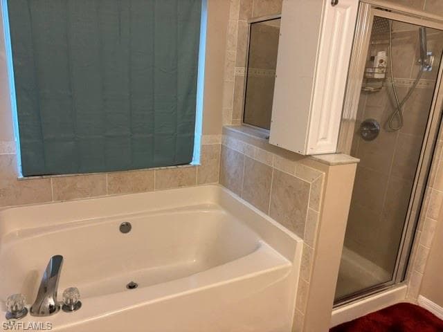 8031 Liriope LOOP-17