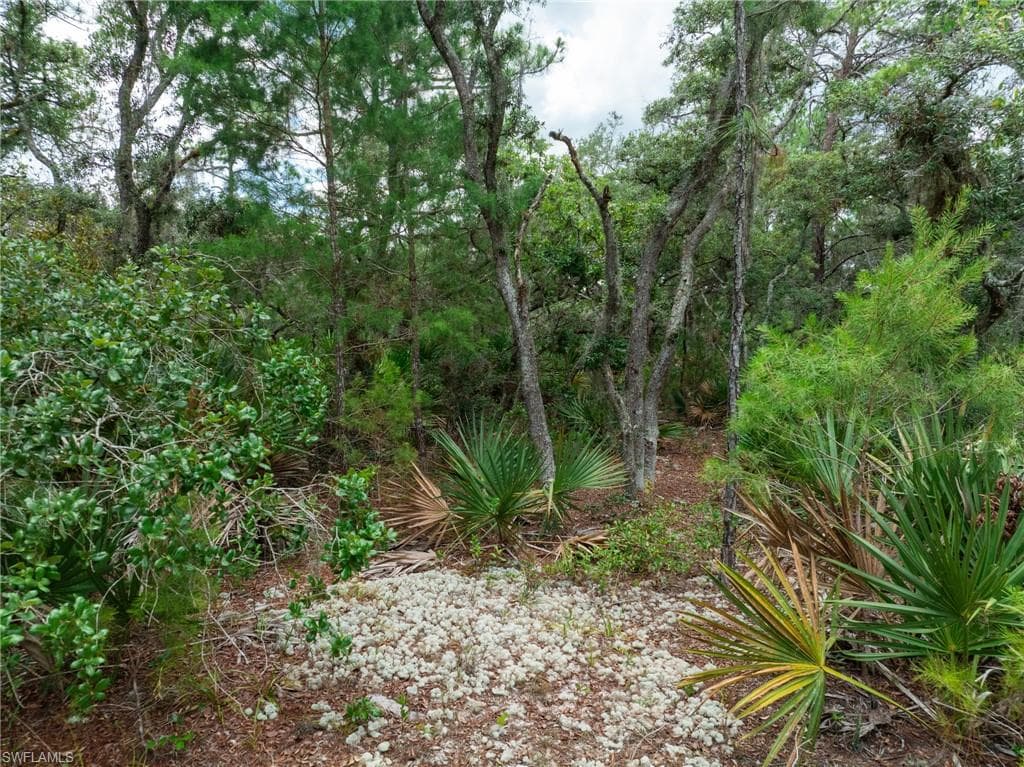 3238 Gossamer AVE-11