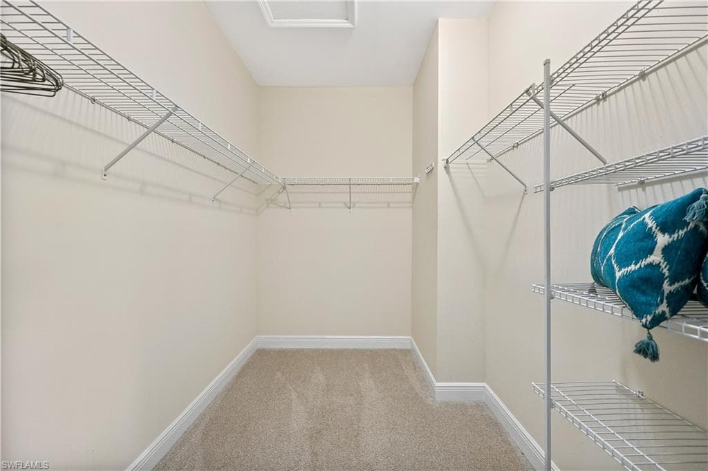3571 Canopy CIR-36