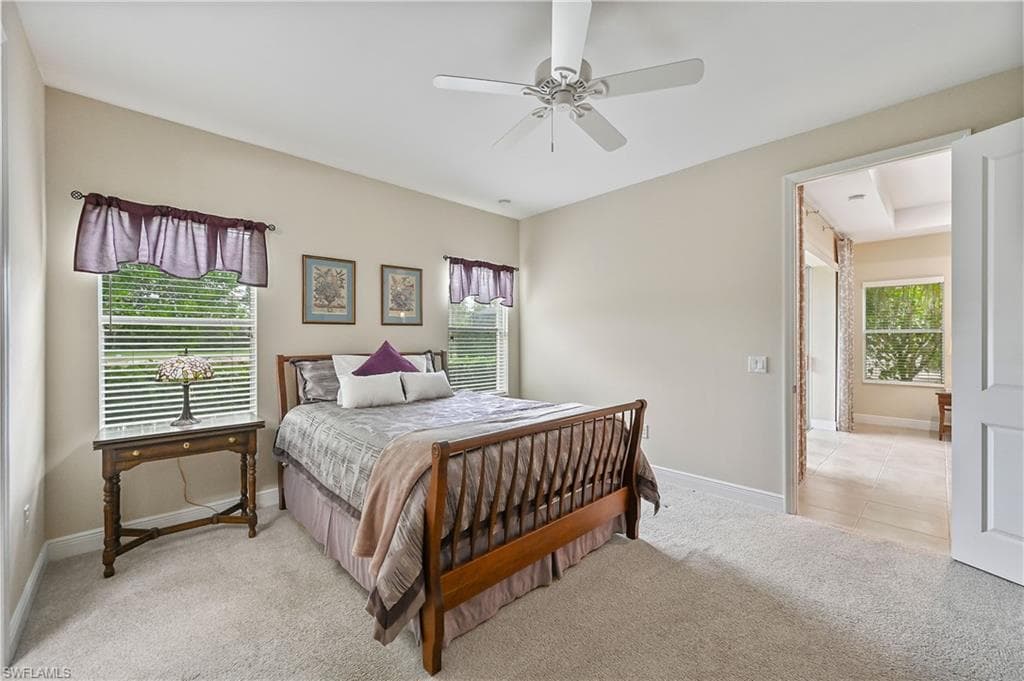 3571 Canopy CIR-34