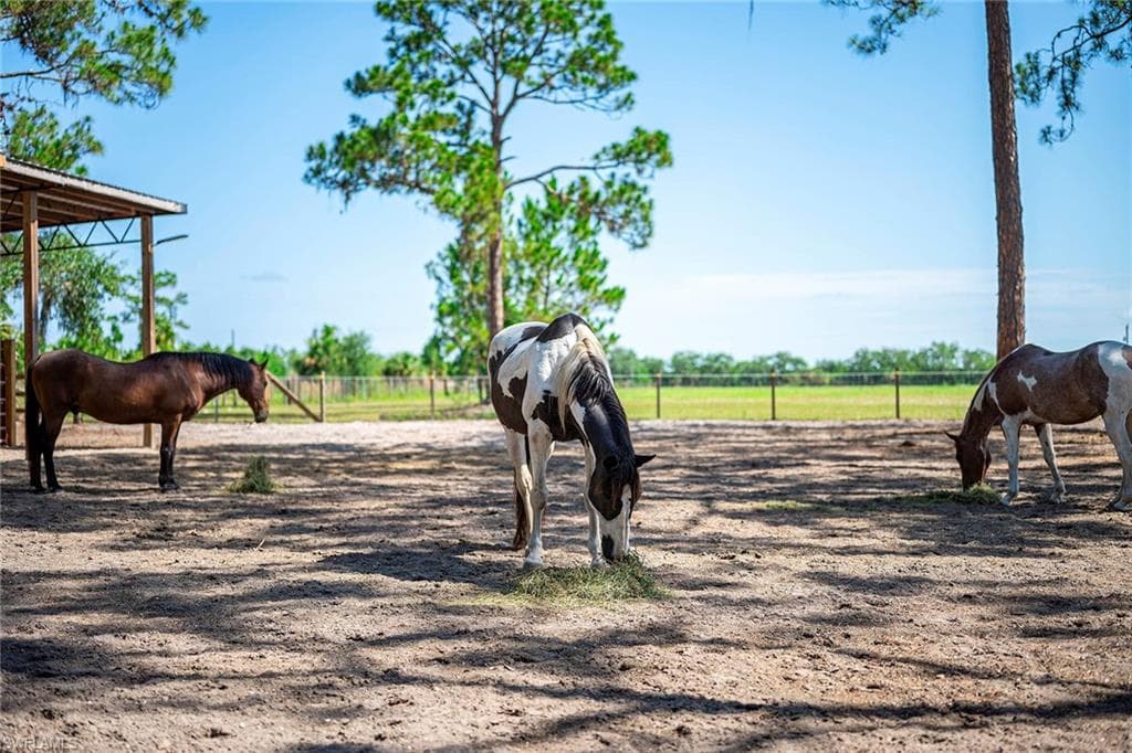 14661 Duke HWY-38