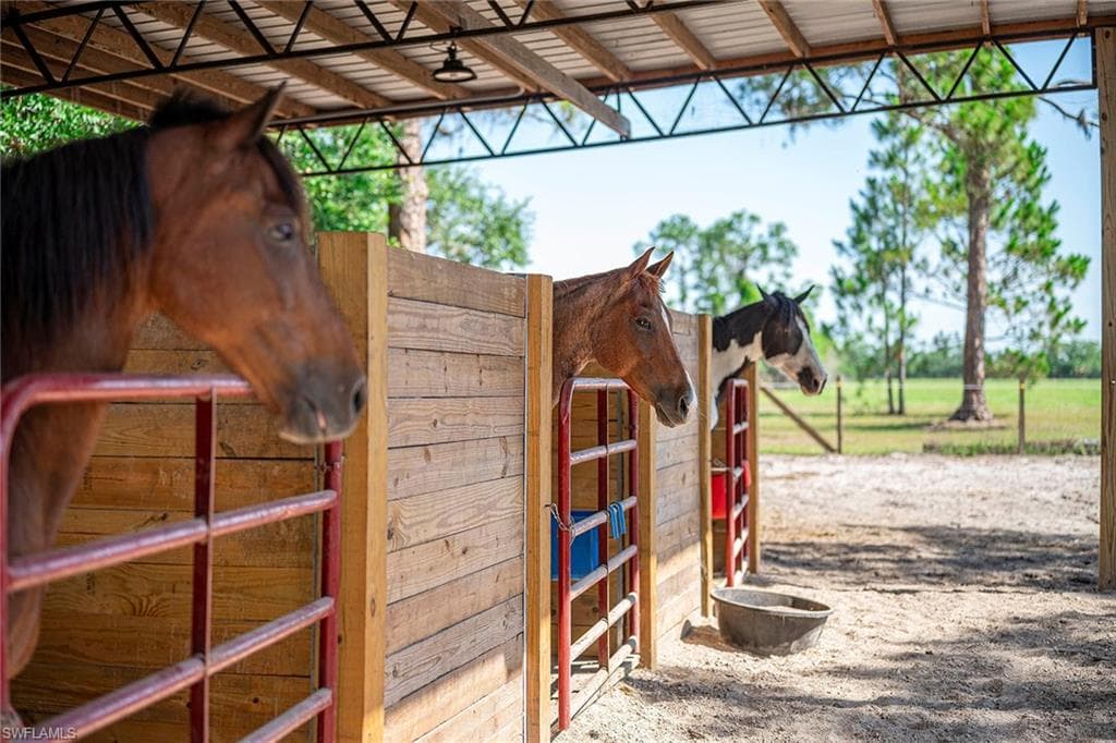 14661 Duke HWY-3