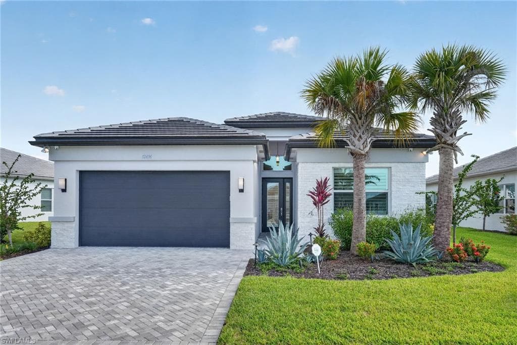 12436 Purple Ficus WAY-1