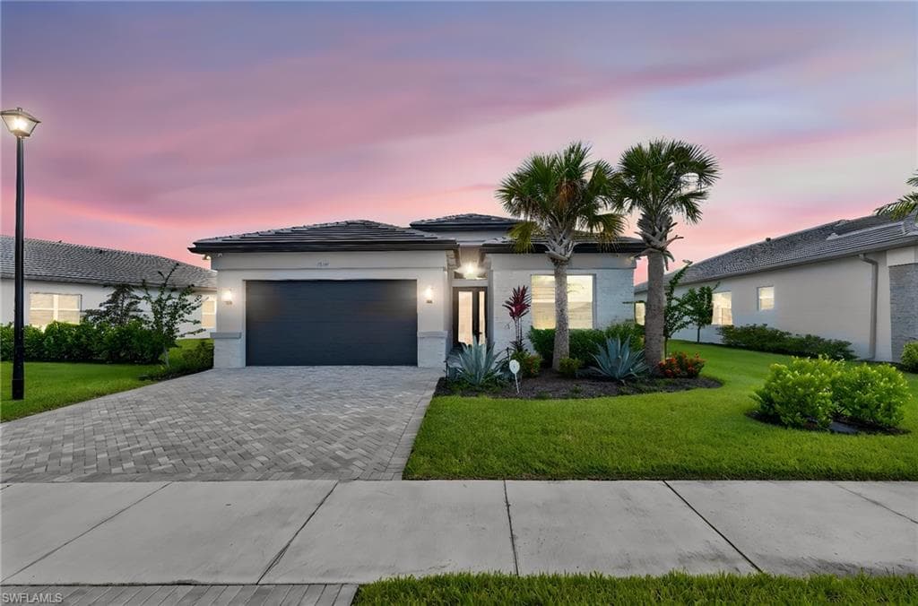 12436 Purple Ficus WAY-40