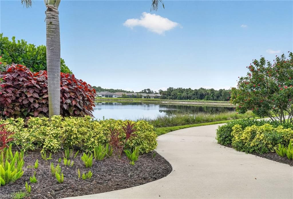 12436 Purple Ficus WAY-34