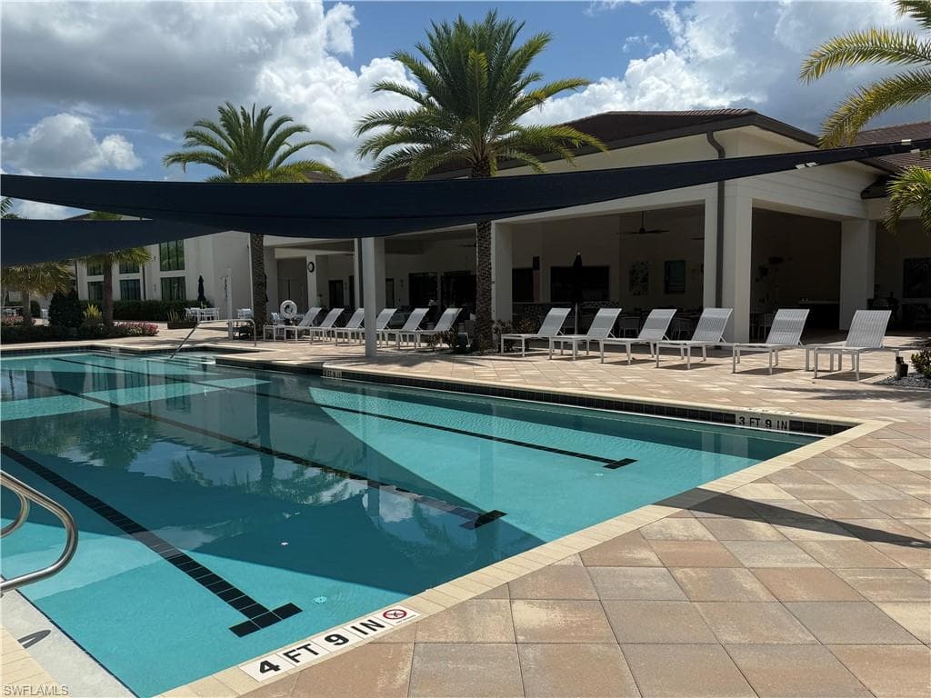 12436 Purple Ficus WAY-38