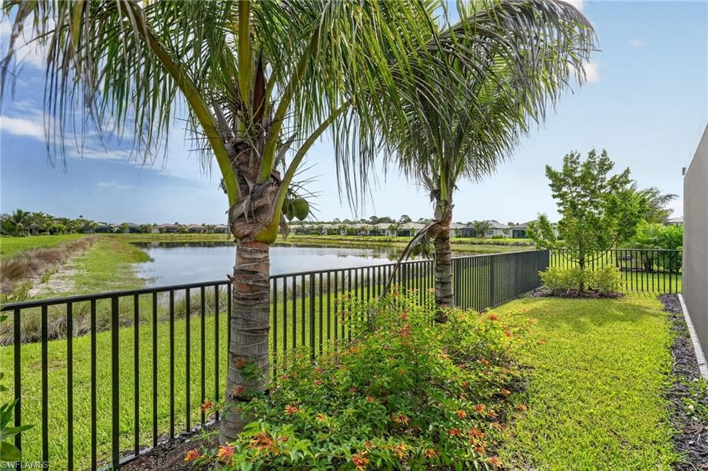 12436 Purple Ficus WAY-3