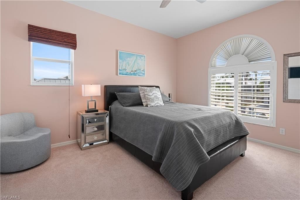 116 Sand Dollar DR-17