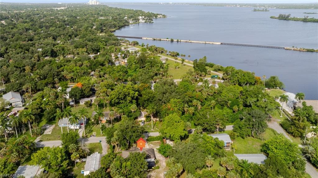 211 Palmacea RD-41